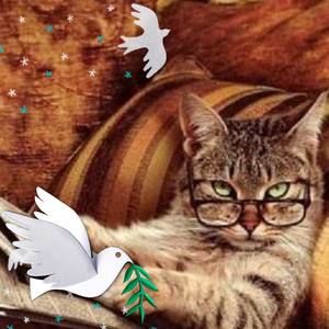 Meet your Posher, Suzanne